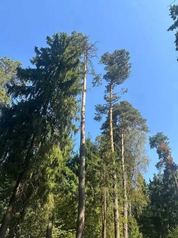Участок в Московская область, Одинцовский городской округ, пос. ... - Фото 1