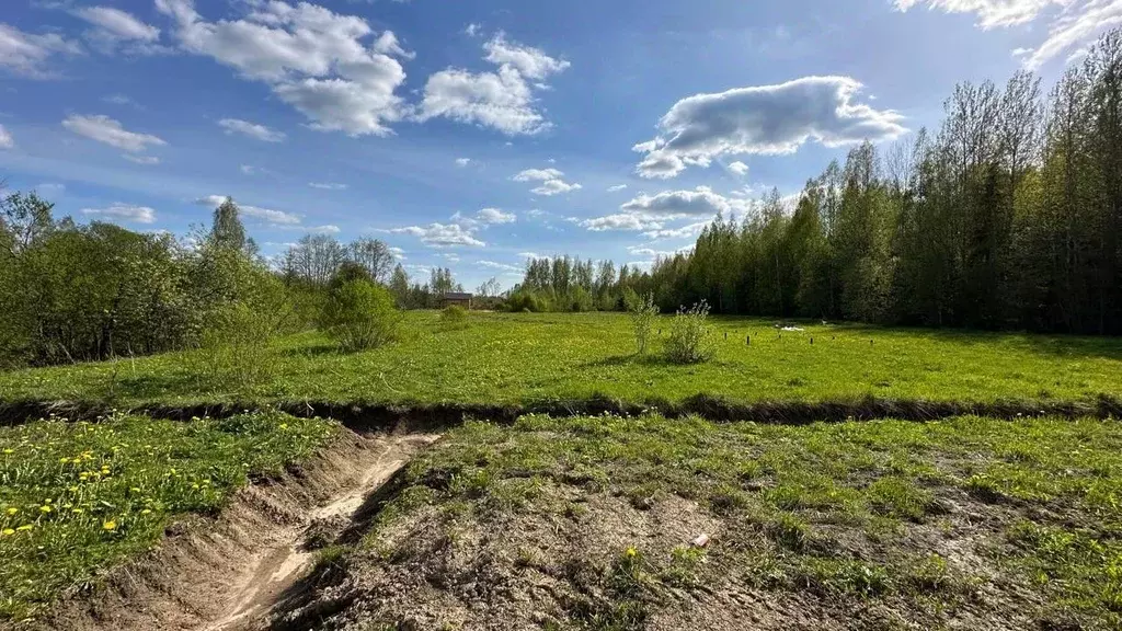 Участок в Новгородская область, Маловишерское городское поселение, д. ... - Фото 1