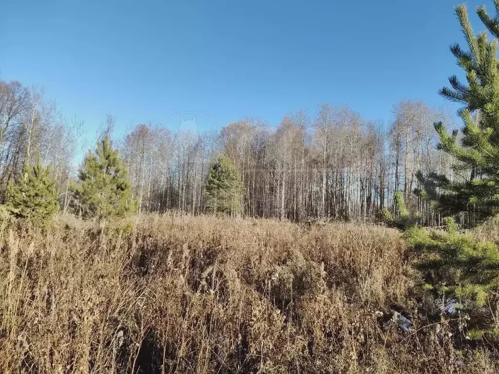 Участок 10 сот. (ИЖС) - Фото 0