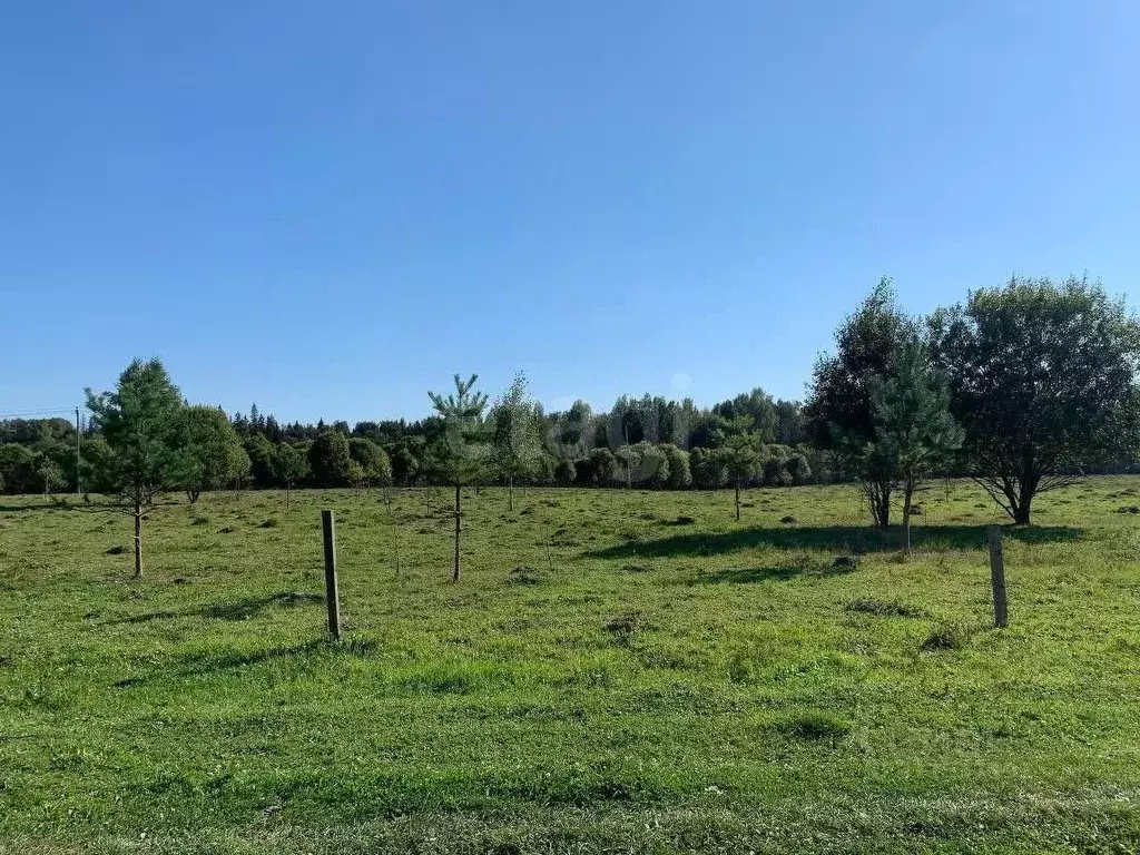 Участок в Московская область, Щелково городской округ, д. Мосальское  ... - Фото 1