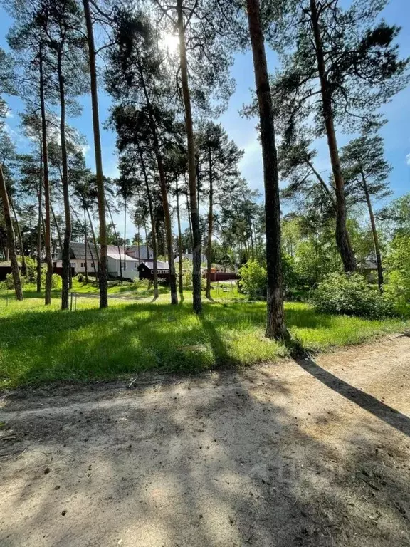 Участок в Тамбовская область, Тамбов Пригородный Лес мкр,  (18.0 сот.) - Фото 2