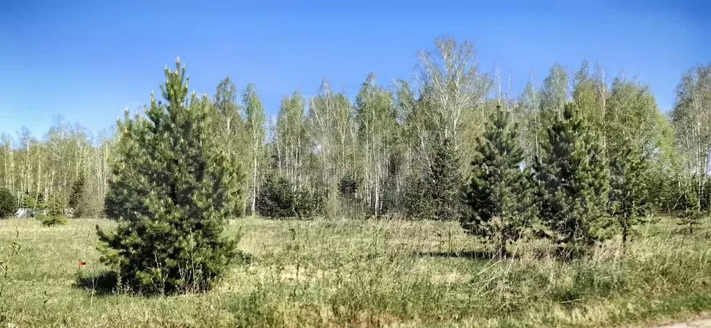 Участок 8,7 сот. (ИЖС) - Фото 0