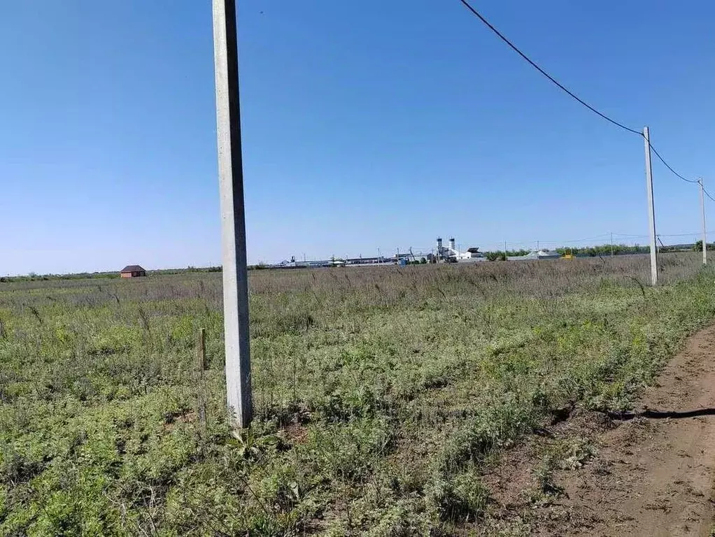 Участок в Оренбургская область, Бузулукский район, Палимовский ... - Фото 0