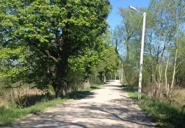 Участок в Калининградская область, Багратионовский муниципальный ... - Фото 2