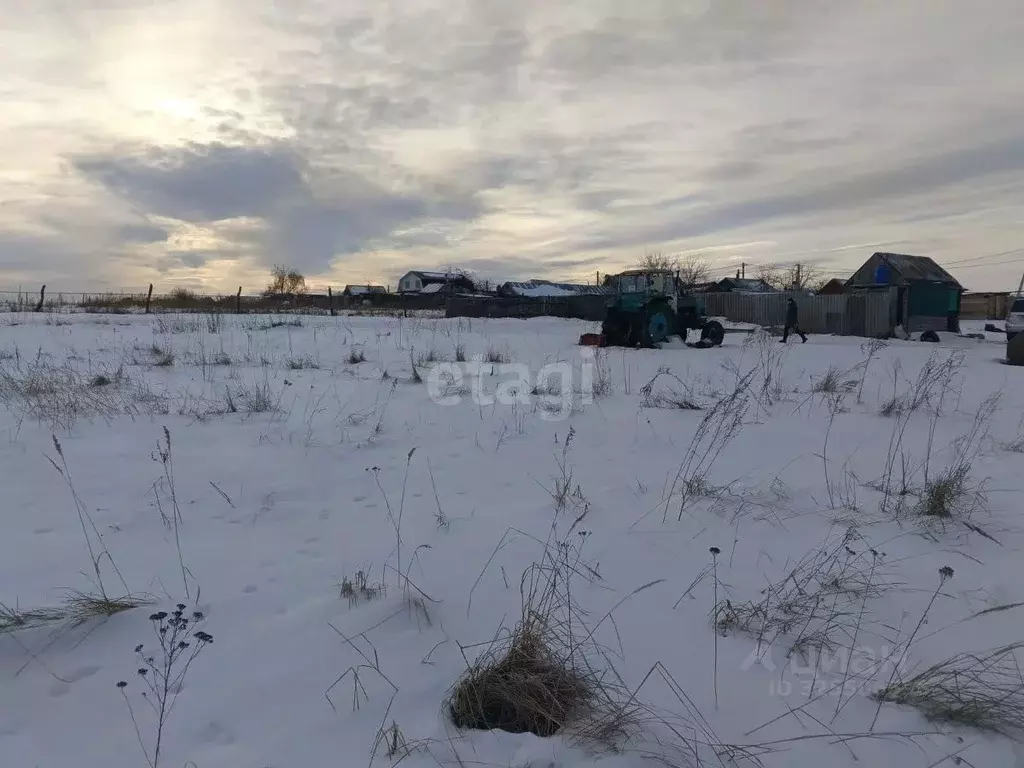 Участок в Саратовская область, Балашовский район, с. Репное ... - Фото 1