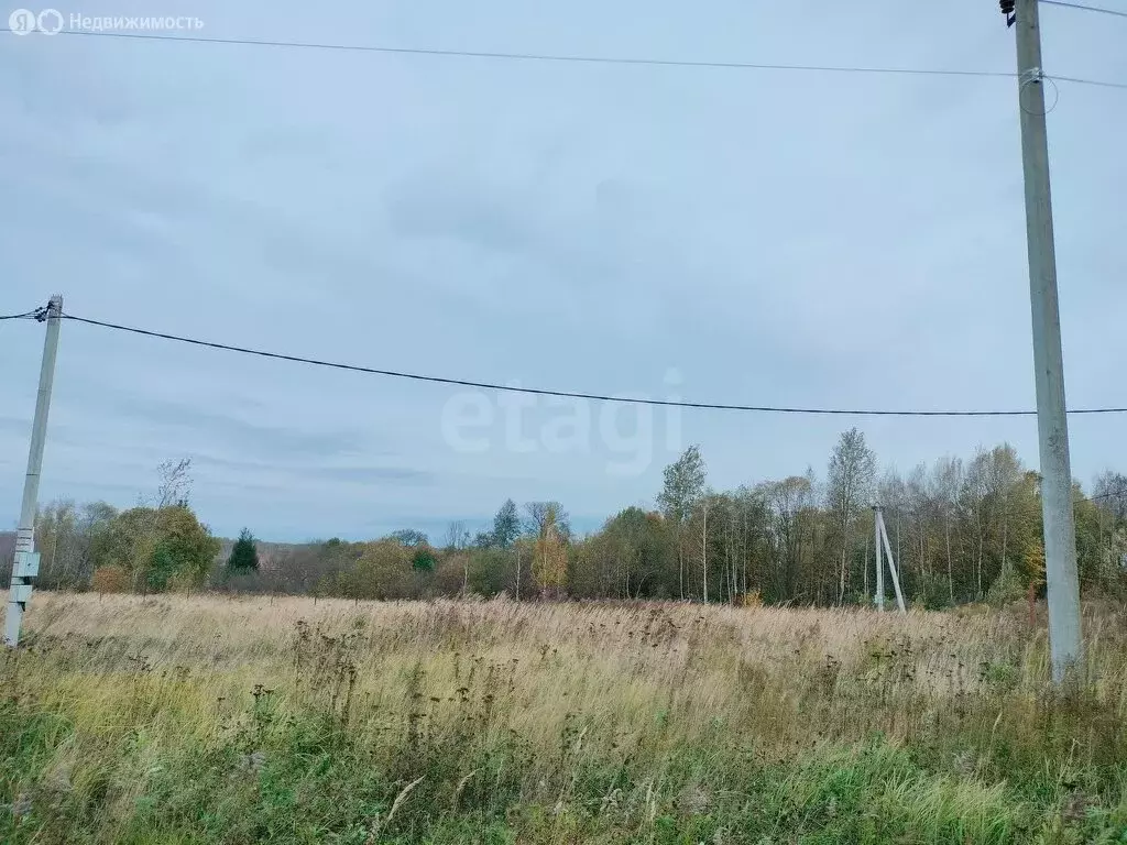 Участок в Тульская область, городской округ Тула, деревня Струково (10 ... - Фото 1
