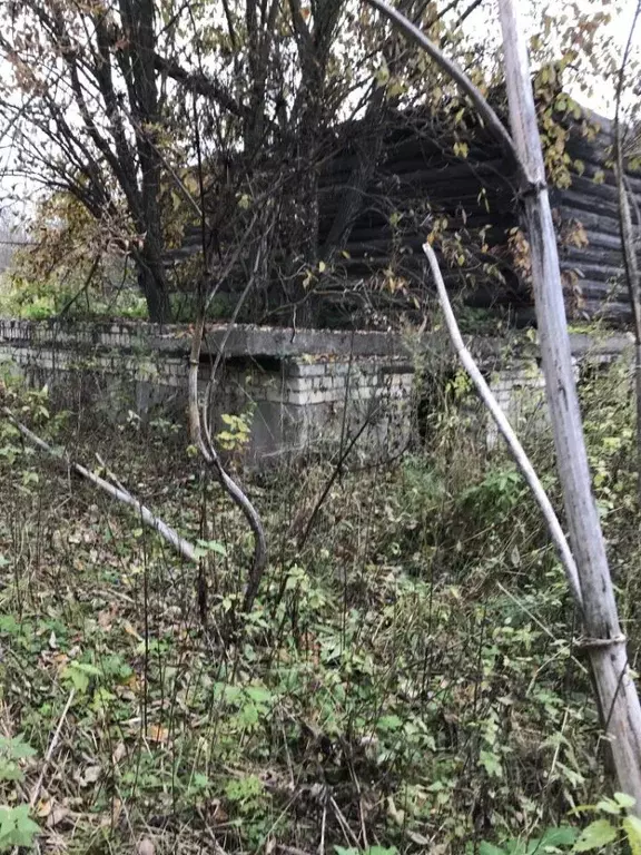 Участок в Нижегородская область, Богородский муниципальный округ, д. ... - Фото 0