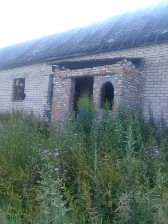 Дом в Нижегородская область, Дивеевский муниципальный округ, с. ... - Фото 1