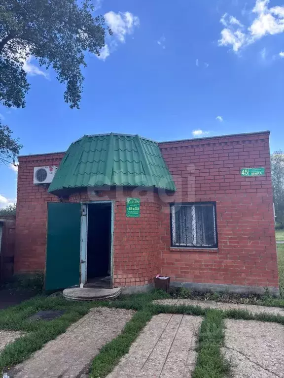 Торговая площадь в Воронежская область, Верхнехавский район, с. ... - Фото 1