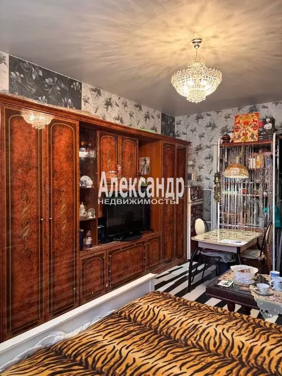 Комната Санкт-Петербург Малая Посадская ул., 7/4 (23.2 м) - Фото 1