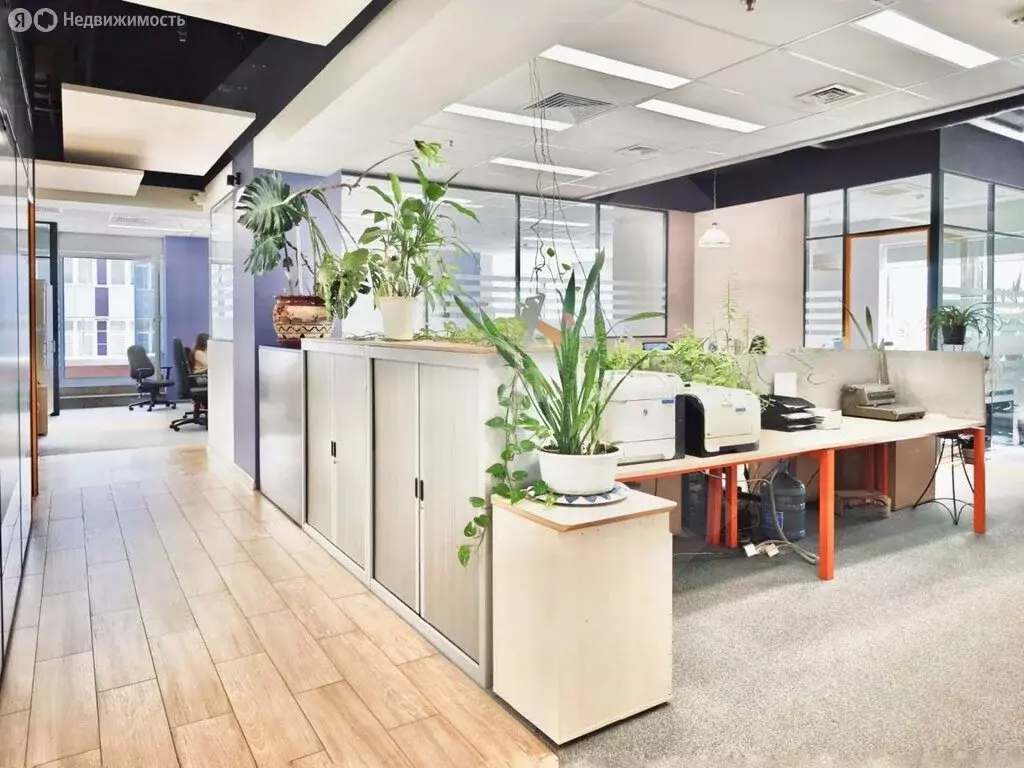 Офис (1070 м) - Фото 2