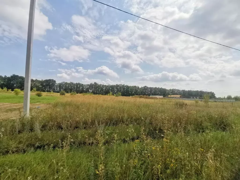 Участок в Белгородская область, Старый Оскол ул. Морозная (15.0 сот.) - Фото 0