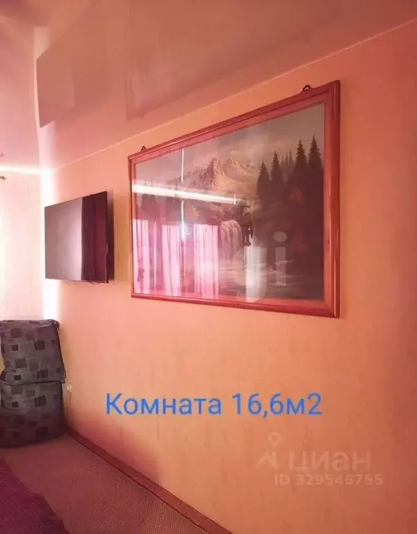 1-к кв. Алтайский край, Барнаул ул. Малахова, 173 (33.0 м) - Фото 1