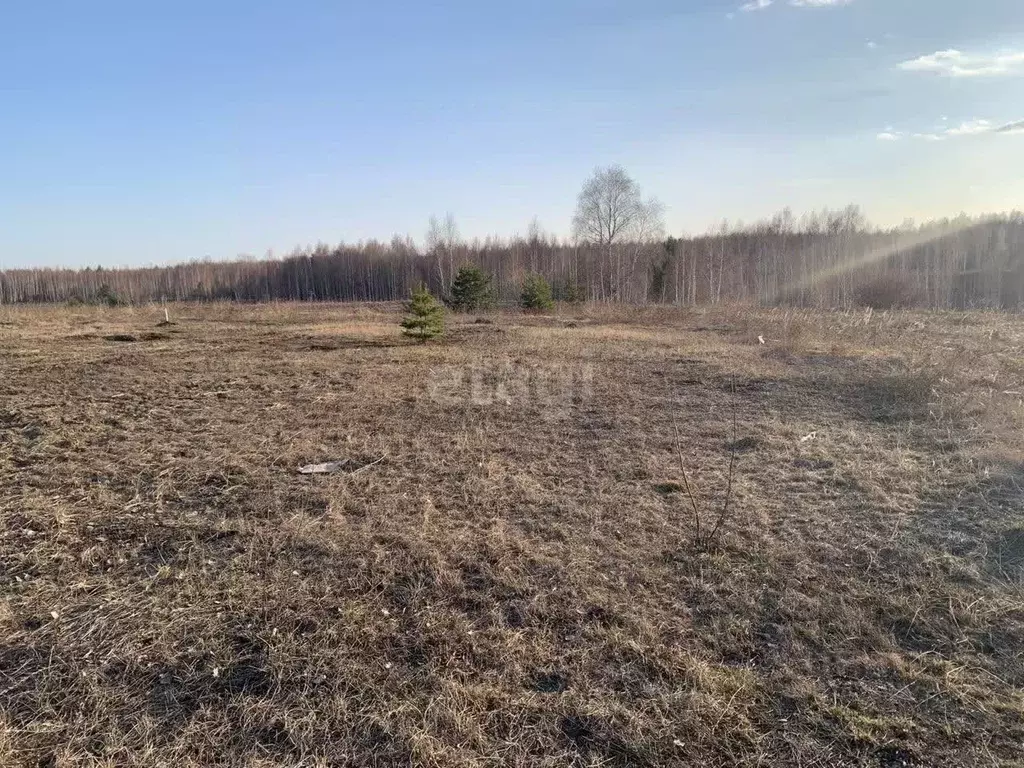 Участок в Татарстан, Казань Лесная поляна жилмассив,  (8.9 сот.) - Фото 0