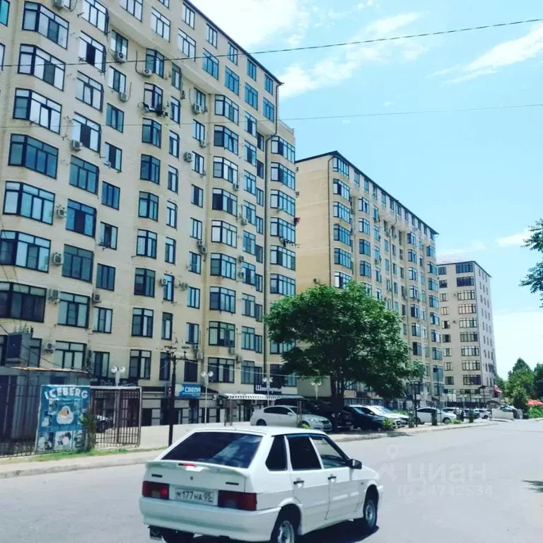 Офис в Дагестан, Избербаш ул. Гамидова, 87Б (60 м) - Фото 1