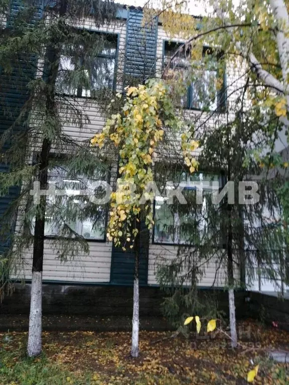 Помещение свободного назначения в Алтайский край, с. Новичиха ул. ... - Фото 2