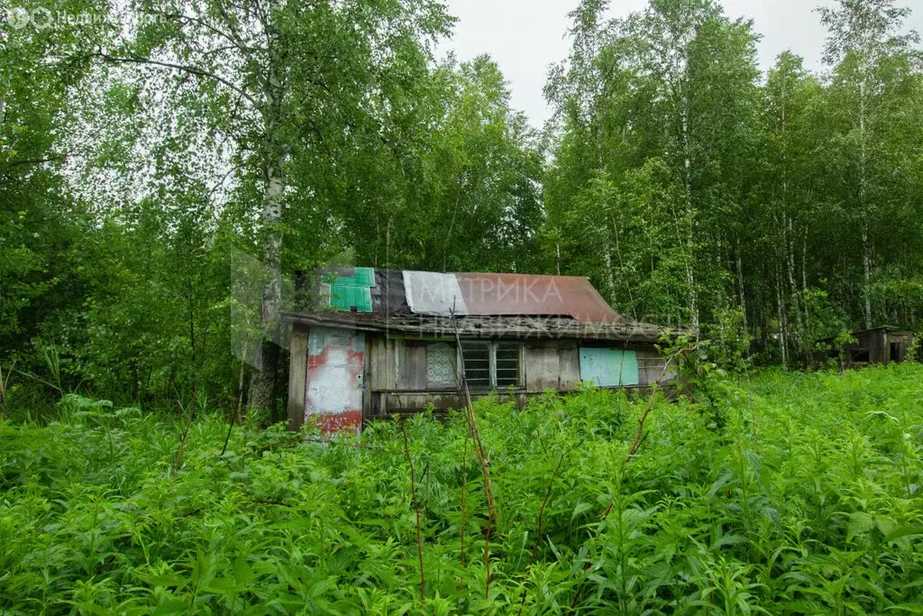 Участок в Нижнетавдинский район, садоводческое некоммерческое ... - Фото 0