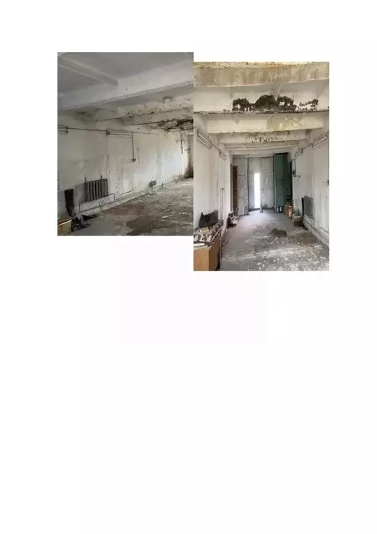 Помещение свободного назначения в Новосибирская область, Новосибирский ... - Фото 1