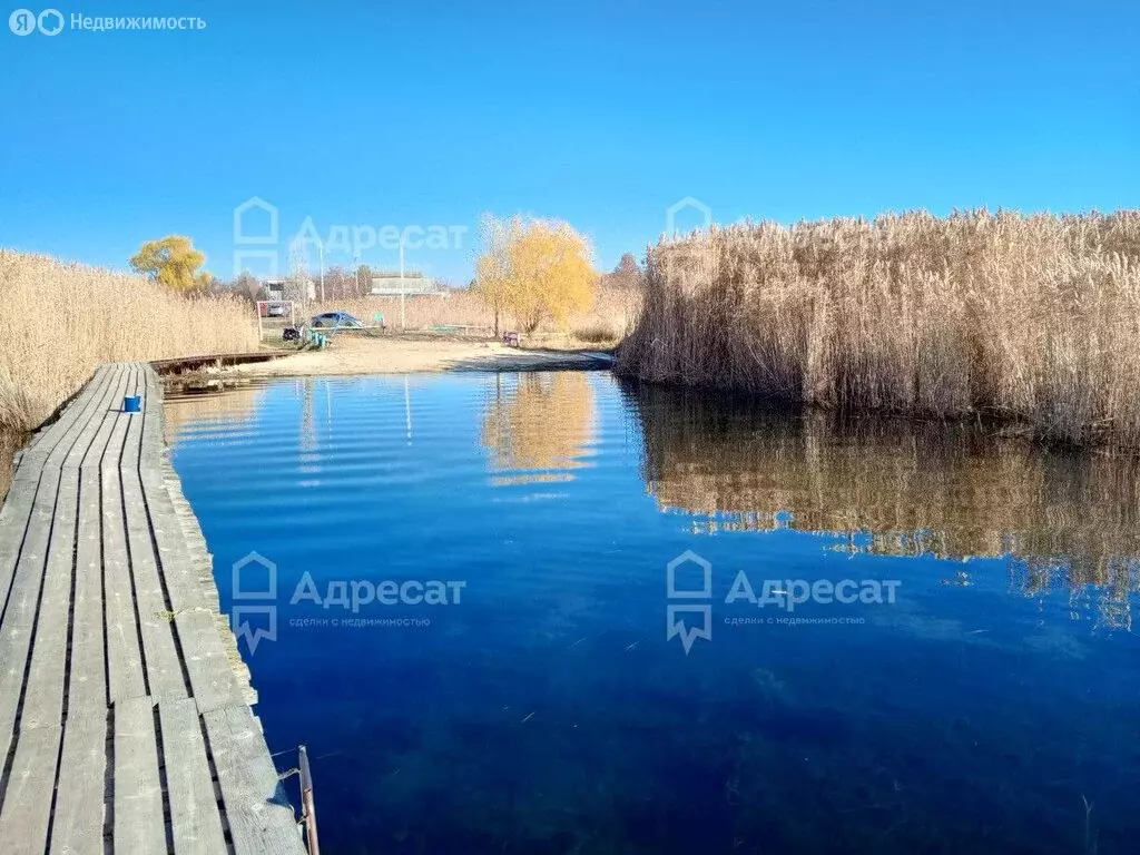 Участок в Волгоград, СНТ Лесник (6 м) - Фото 1
