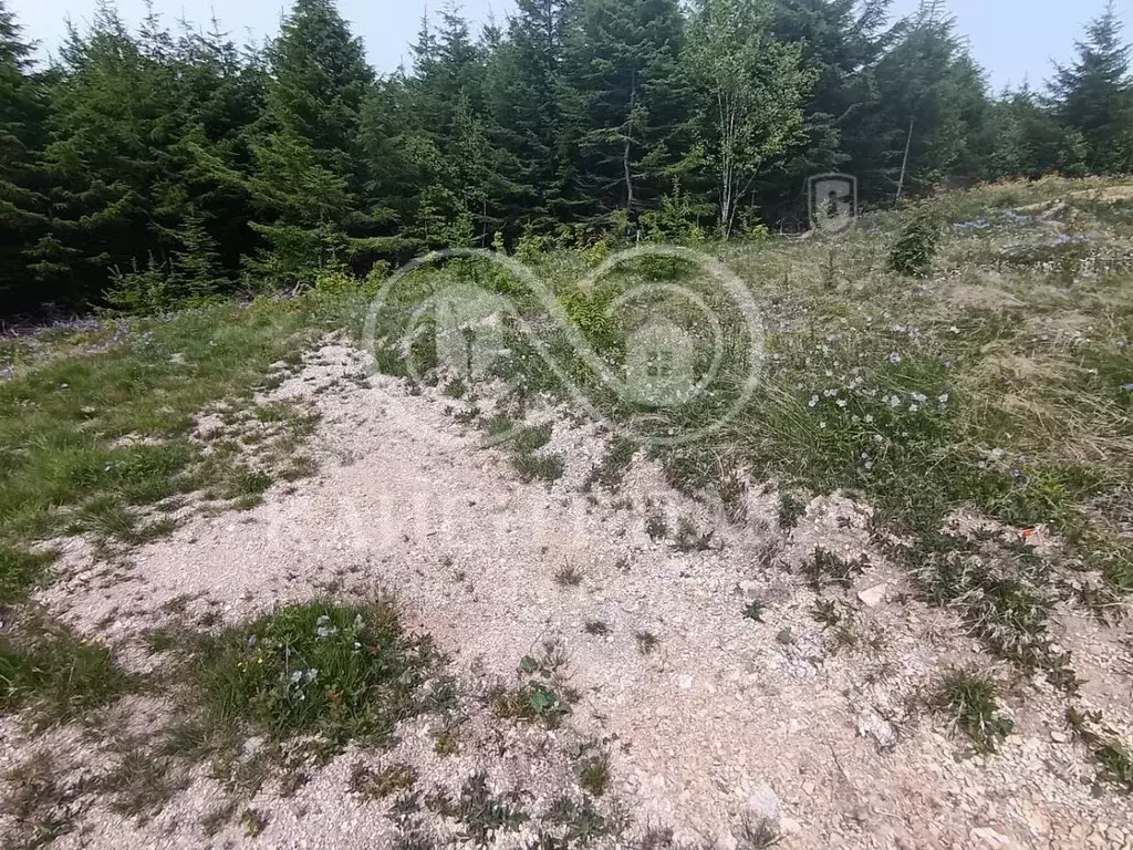 Участок в Сахалинская область, Корсаков ул. Матросова, 74/1 (9.0 сот.) - Фото 0