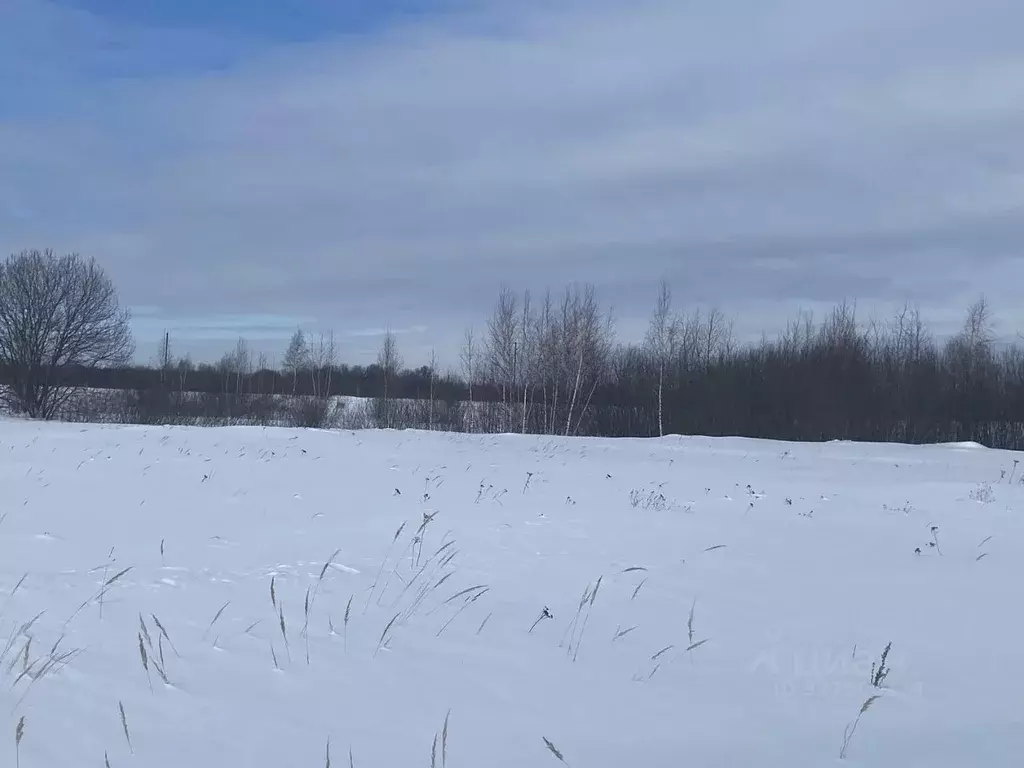 Участок в Московская область, Луховицы муниципальный округ, д. ... - Фото 2