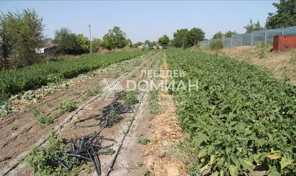 Участок в Ростовская область, Азовский район, Задонское с/пос, Победа ... - Фото 2