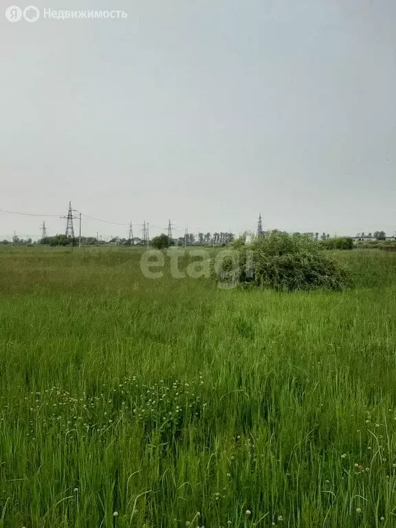 Участок в Амурская область, Благовещенский муниципальный округ, село ... - Фото 0