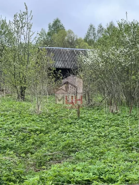 Участок в Тверская область, Конаковский муниципальный округ, д. ... - Фото 2