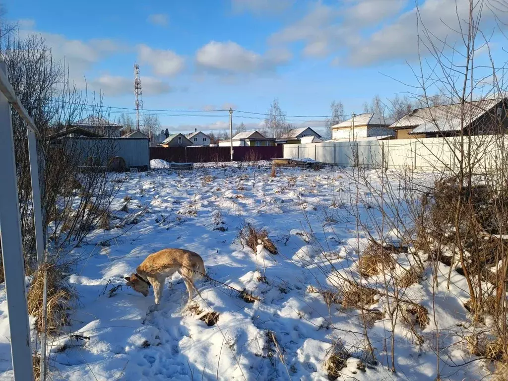 Участок в Московская область, Солнечногорск городской округ, Поварово ... - Фото 1