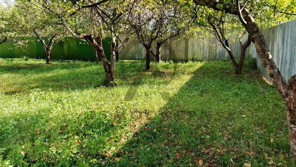 Участок в Краснодарский край, Апшеронский район, Нижегородское с/пос, ... - Фото 1