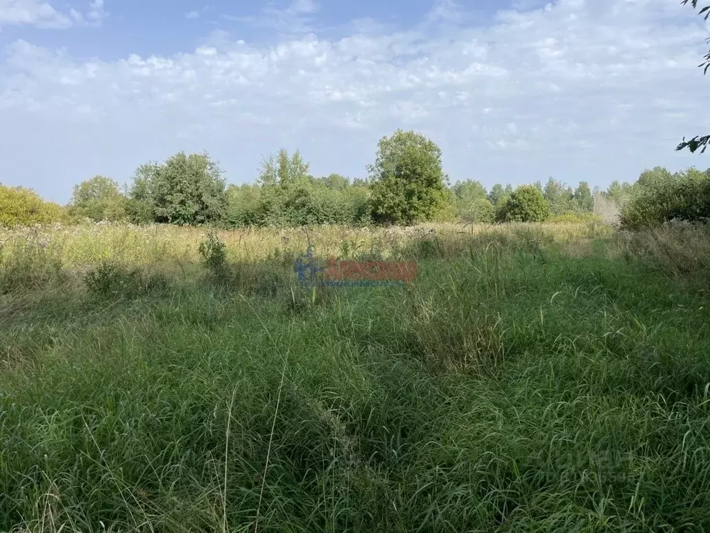 Участок в Ленинградская область, Приозерский район, Ларионовское ... - Фото 0