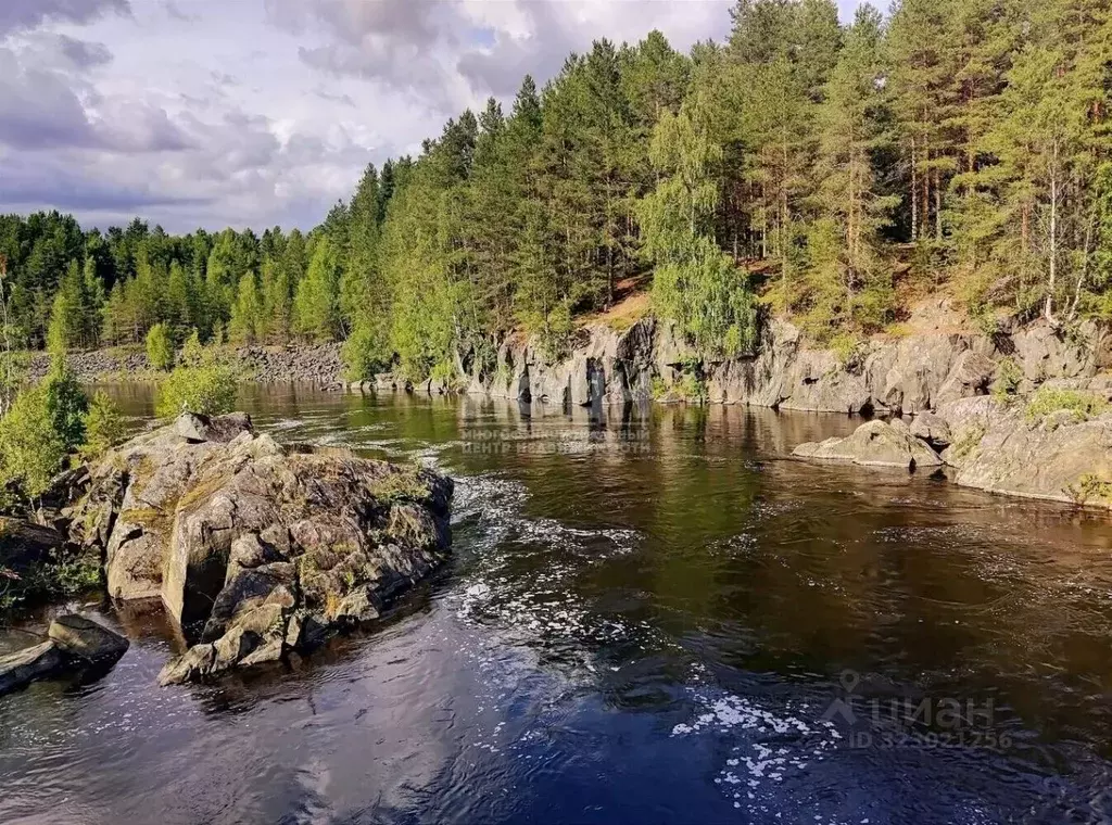 Участок в Карелия, Медвежьегорский муниципальный округ, пос. Падун  ... - Фото 1