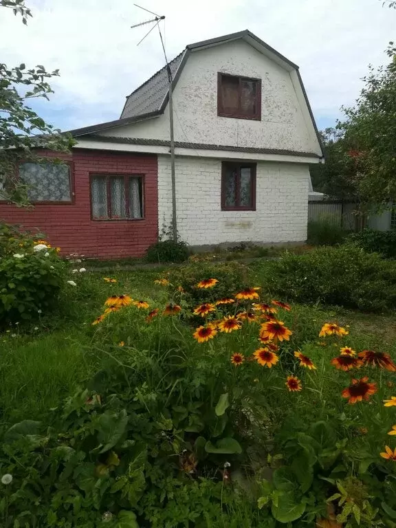 Дом в Нижегородская область, Балахнинский муниципальный округ, СНТ № 4 ... - Фото 2