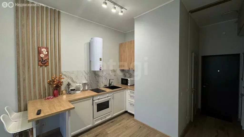 Квартира-студия: Санкт-Петербург, Глухая Зеленина улица, 6 (25 м) - Фото 1