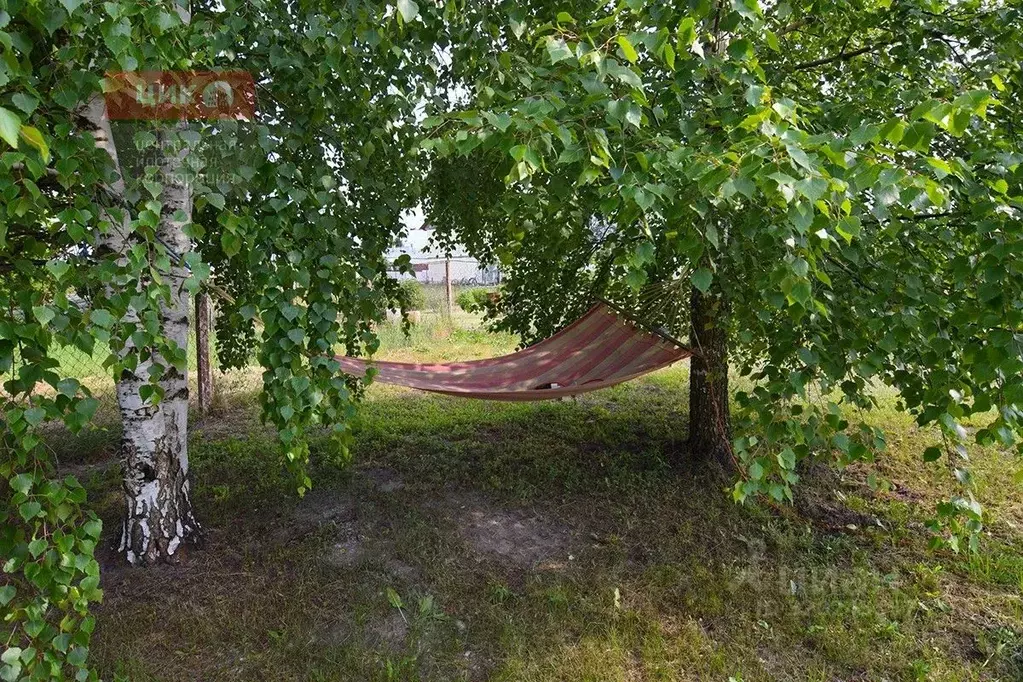 Дом в Рязанская область, Шиловский район, Санское с/пос, с. Санское ... - Фото 1