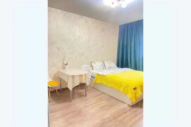 1-к кв. Санкт-Петербург просп. Народного ополчения, 149 (28.0 м) - Фото 2