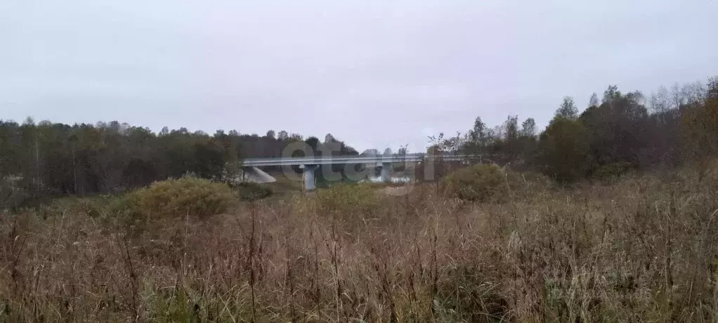 Участок в Псковская область, Порховский муниципальный округ, д. ... - Фото 1