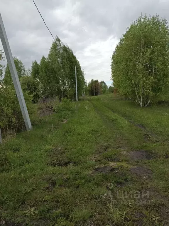 Участок в Томская область, Томский район, Изумруд садовое товарищество ... - Фото 1
