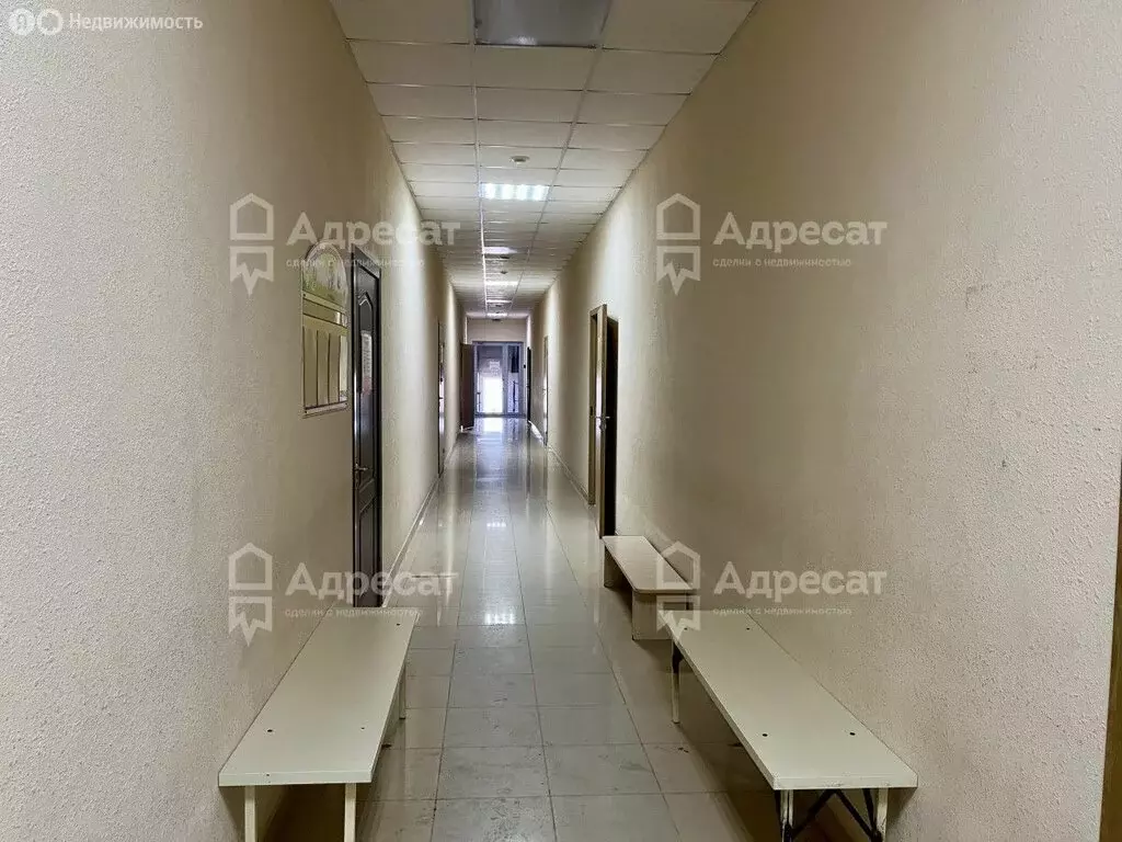 Помещение свободного назначения (24 м) - Фото 1