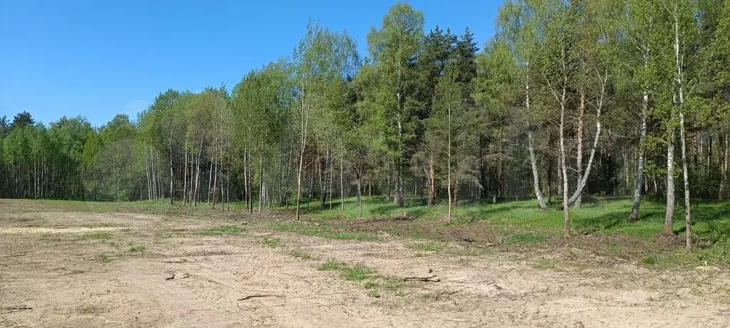 Участок 10 сот. (ИЖС) - Фото 0