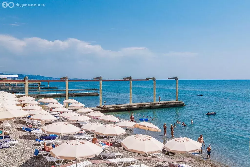 3-комнатная квартира: Сочи, Курортный проспект, 105А (100 м) - Фото 1