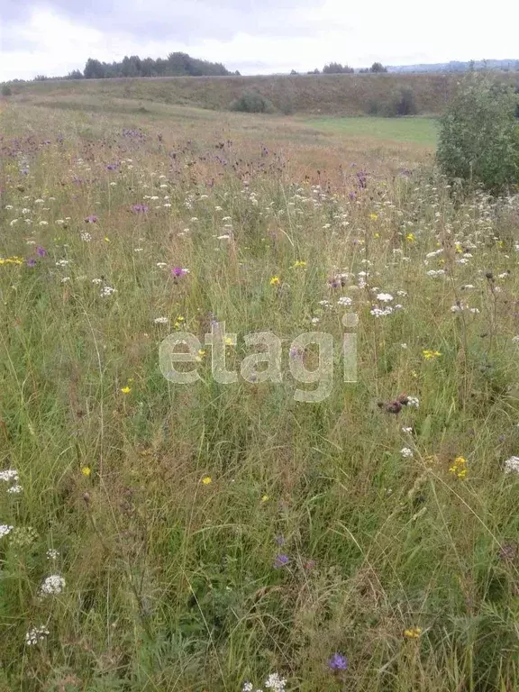 Участок в Архангельская область, Котласский муниципальный округ, д. ... - Фото 1