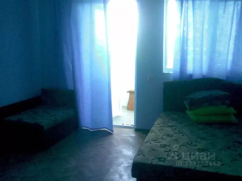 1-к кв. Крым, Феодосия муниципальный округ, Коктебель пгт ул. ... - Фото 1