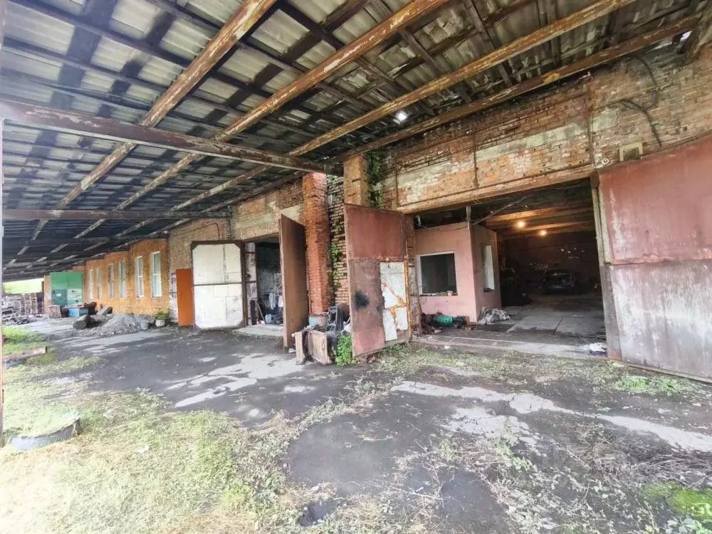 Помещение свободного назначения в Хакасия, Черногорск ул. Мира, 20 ... - Фото 1