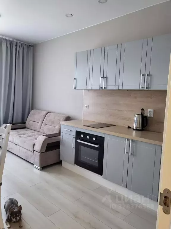 1-к кв. Ленинградская область, Кудрово г. Всеволожский район, ... - Фото 1