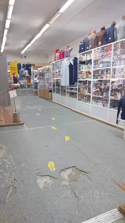 Помещение свободного назначения в Алтайский край, Барнаул городской ... - Фото 2