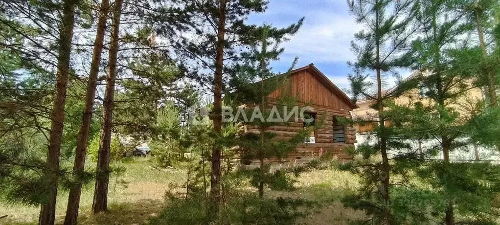 Участок в Бурятия, Улан-Удэ ул. Лавандовая, 24 (8.0 сот.) - Фото 1