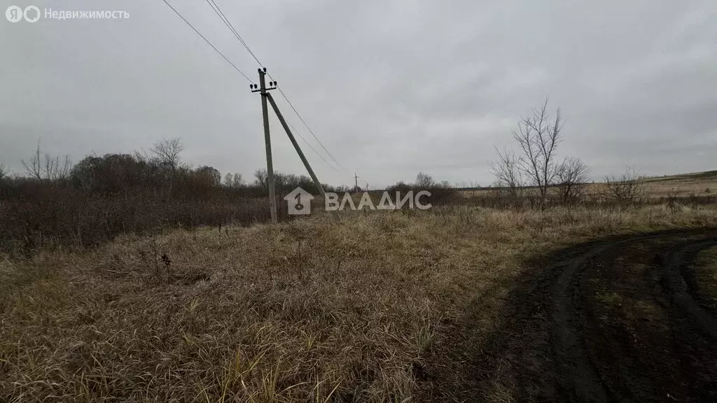 Участок в Бессоновский район, село Ухтинка, Строительная улица, 91 (20 ... - Фото 1