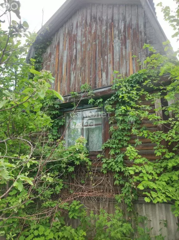 Дом в Иркутск, ДНТ Огонёк (24 м) - Фото 1