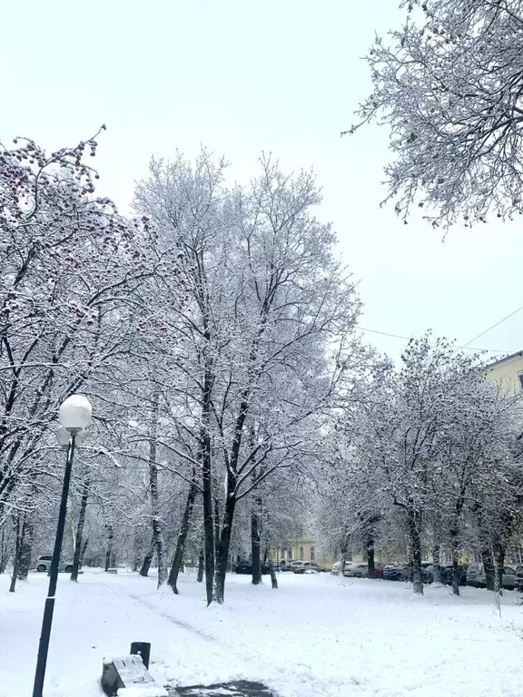 3-к кв. Тверская область, Тверь ул. Вагжанова, 16 (75.1 м) - Фото 2